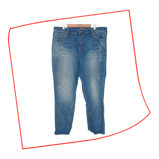 Jeans | Women Distressed Cropped Length Plus Size
